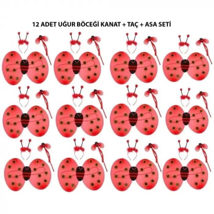 Uğur Böceği Kostüm Seti - Kanat, Taç, Asa 12 Adet