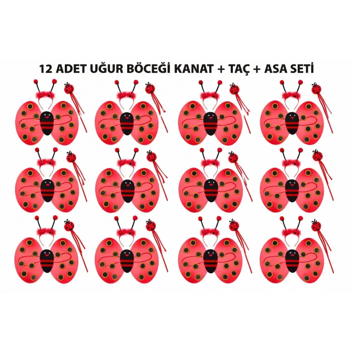 Uğur Böceği Kostüm Seti - Kanat Taç Asa 3 Parça 12 Adet Bx40