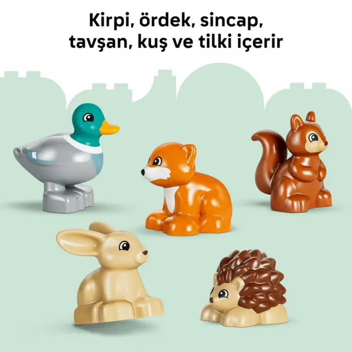 Vahşi Hayvanlarla Keşif Ormanı 10480