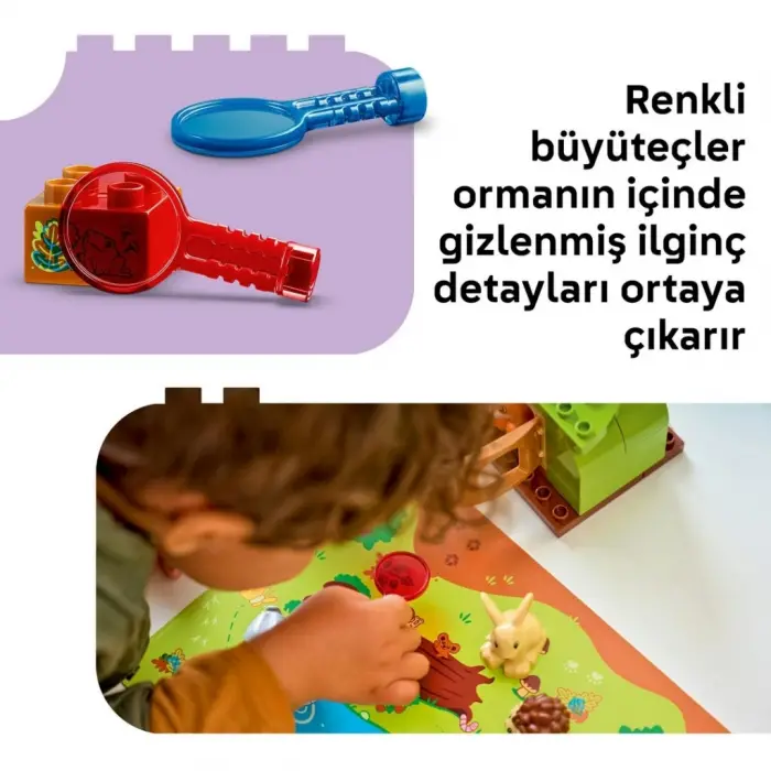 Vahşi Hayvanlarla Keşif Ormanı 10480
