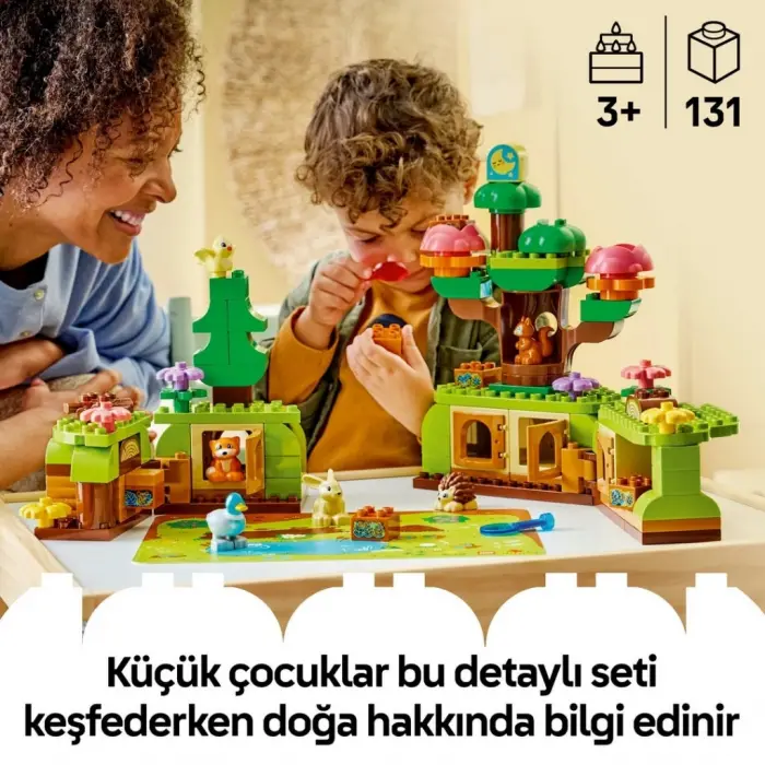 Vahşi Hayvanlarla Keşif Ormanı 10480