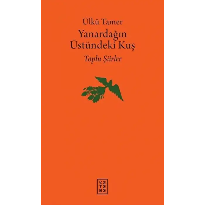 Yanardağın Üstündeki Kuş