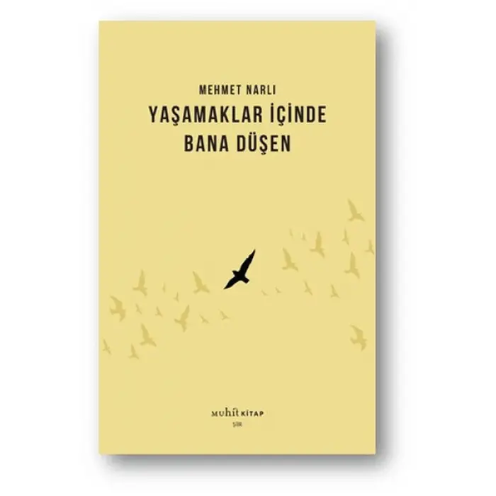 Yaşamaklar İçinde Bana Düşen
