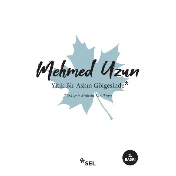 Yitik Bir Aşkın Göesinde