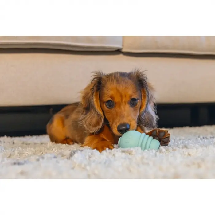 Yru Köpek Sumo Mını Dental Oyuncak Xs 3-6 kg