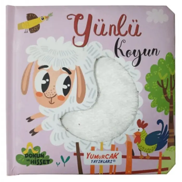 Yünlü Koyun