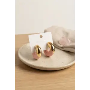 316L Çelik Gold Renk Pembe Halka Model Kadın Küpe