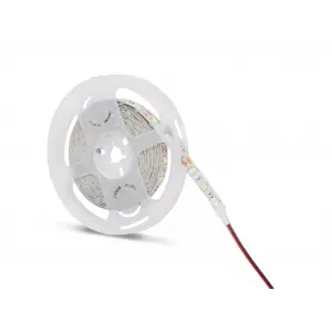 5 Metre NOAS YL40 4006 İç Mekan 12V Amber Şerit Led