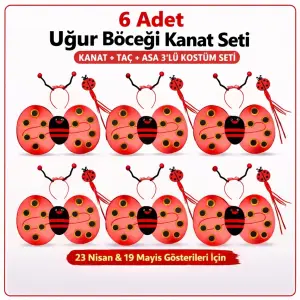 6'lı Uğur Böceği Ateş Böceği Kostüm Seti – Kanat Taç Asa Bx40