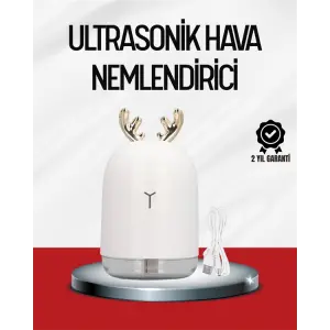 El Tipi USB Mini Soğuk Mist Nemlendirici 220 ml Tank