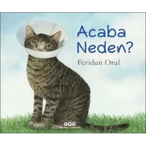 Acaba Neden?