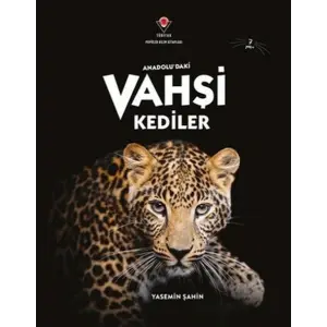 AnadoluDaki Vahşi Kediler