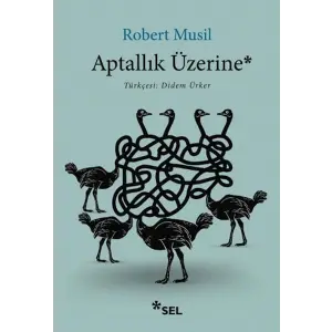 Aptallık Üzerine