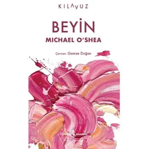Beyin