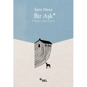 Bir Aşk
