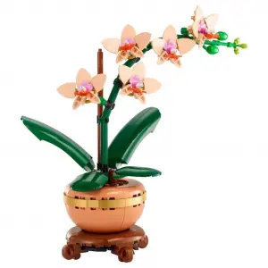 Botanicals Mini Orkide 10343