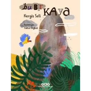 Bu Bir Kaya