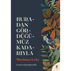 Buradan Gördüğümüz Kadarıyla