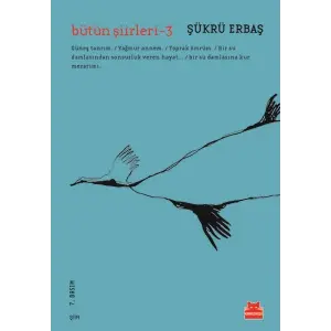 Bütün Şiirleri 3