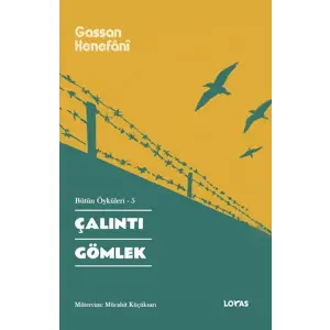 Çalıntı Gömlek Bütün Öyküleri -5