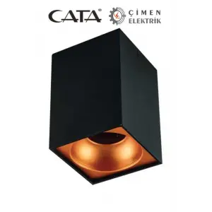 CATA CT 5420 Siyah Bakır Dekoratif Spot Kasa G-10 Duy