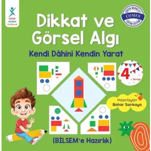 Dikkat ve Görsel Aı 4. Seviye