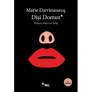Dişi Domuz