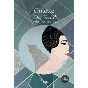 Dişi Kedi