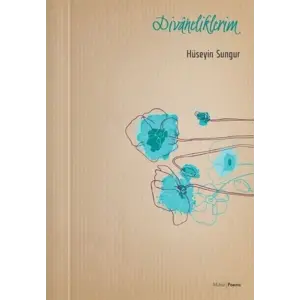 Divaneliklerim