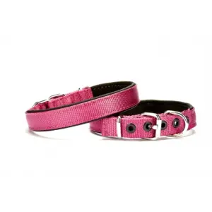Dokuma Softlu Köpek Boyun Tasması 2 cm x 45 cm Mor