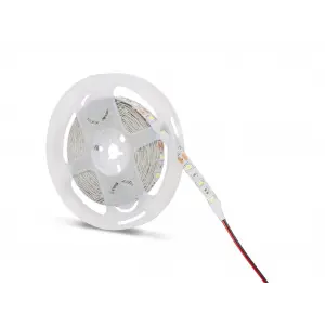 Eco Lounge 5 Metre NOAS YL40 4003 İç Mekan 12V Mavi Şerit Led