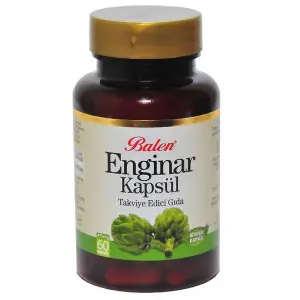 Enginar 60