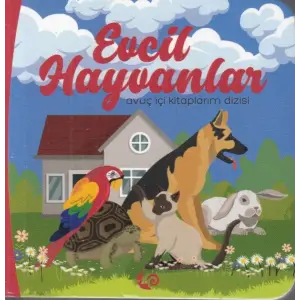 Evcil Hayvanlar - uç İçi larım Dizisi