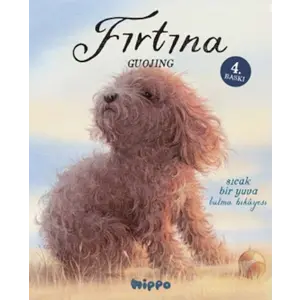 Fırtına