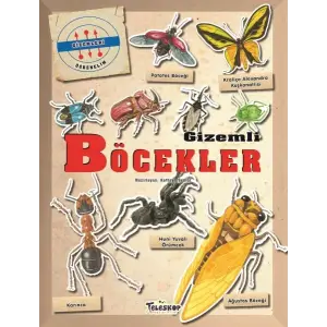 Gizemleri Öğrenelim -  Böcekler