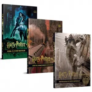 Harry Potter Film Dehlizi Serisi 3  Takım ( Karton Kapak)