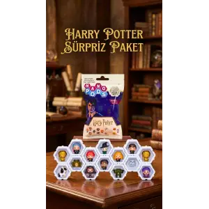 Harry Potter Koleksiyon Sürpriz Figür Seti Ünlü Karakterler