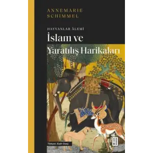 İslam ve tılış Harikaları