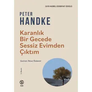 Karanlık Bir Gecede Sessiz Evimden Çıktım