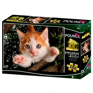 Kedi Pençesi Puzzle 100 Parça