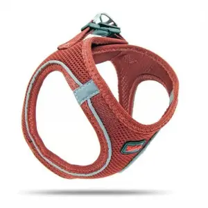 Köpek Göğüs Tasması 3XSmall 24-28 cm Claret