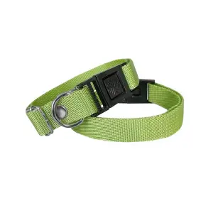 Köpek Tasması Dokuma 2 cm - Min: 30 cm - Max: 50 cm Yeşil