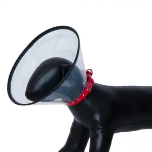 Köpek Yakalığı 20 CM