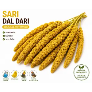 Kuşlar İçin Doğal Sarı Dal Darı 100 gr