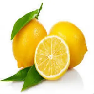 Limon Bonesi / 50 Adet /  Çayı Bonesi