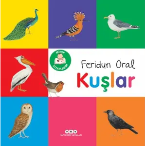 Minik larım – Kuşlar