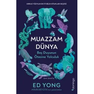 Muazzam Dünya: Beş Duyunun Ötesine Yolculuk