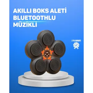 Müzikli Boks Duvar Paneli Akıllı Işık Sistemli Refleks ve Kondisyon Aleti