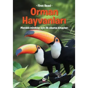 Orman Hayvanları