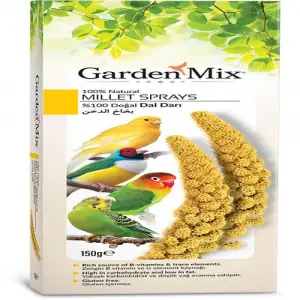 Platin Sarı Dal Darı 150 gr
